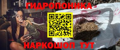 стафф Усть-Илимск