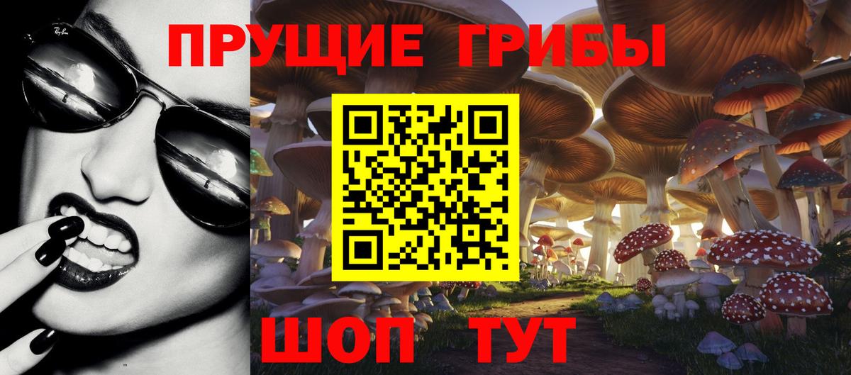 Псилоцибиновые грибы Psilocybine cubensis Москва